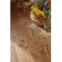 Hardwood Flooring BOEN Stonewashed 209mm Oak Alamo Live Natural