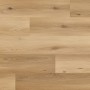 Luxury Vinyl Tile Arbiton Woodric Eir Cavaillon Oak