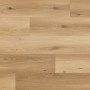 Luxury Vinyl Tile Arbiton Woodric Eir Acoustic Cavaillon Oak