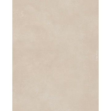 SPC Vinyl Flooring Lalegno Mega Panels Xxl 4mm Limestone