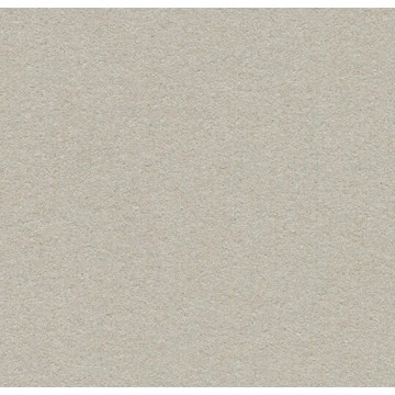 Bulletin Board 2206 Oyster Shell