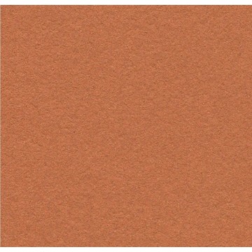 Bulletin Board 2207 Cinnamon Bark