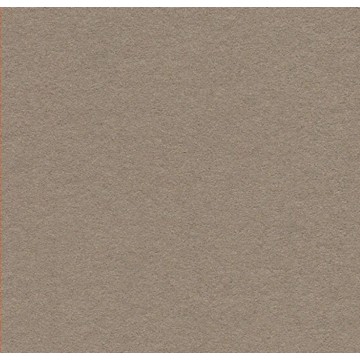 Bulletin Board 2208 Mushroom Medley