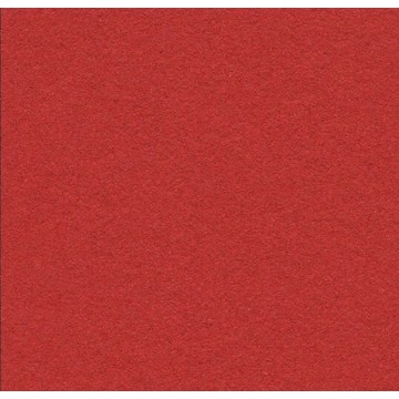 Bulletin Board 2210 Hot Salsa