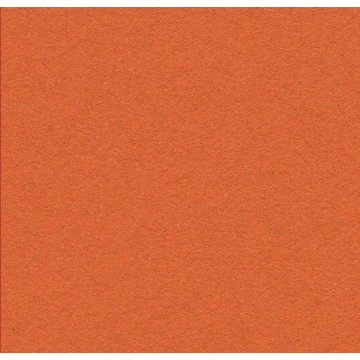 Bulletin Board 2211 Tangerine Zest