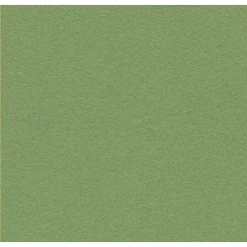 Bulletin Board 2213 Baby Lettuce