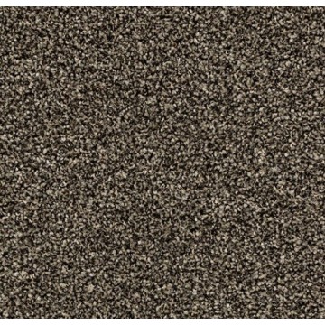 Forbo Coral Bright 2604 Virgin Sand