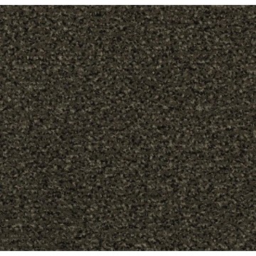Forbo Coral Classic 4734 Spun Gold