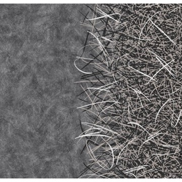 Forbo Flotex by Starck Vortex White A2 312001