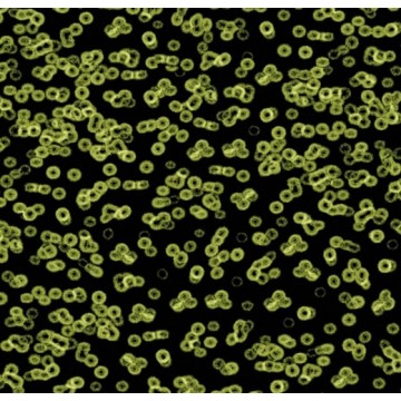 Forbo Flotex Sottsass Bacteria 990103