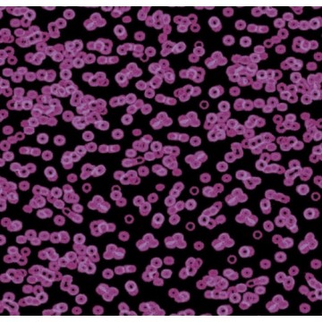 Forbo Flotex Sottsass Bacteria 990104