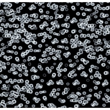 Forbo Flotex Sottsass Bacteria 990106