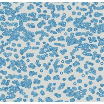 Forbo Flotex Sottsass Bacteria 990202
