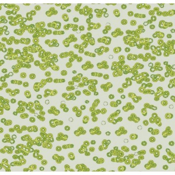 Forbo Flotex Sottsass Bacteria 990203