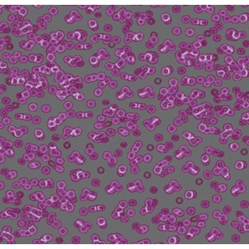 Forbo Flotex Sottsass Bacteria 990301