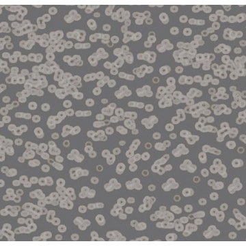 Forbo Flotex Sottsass Bacteria 990304