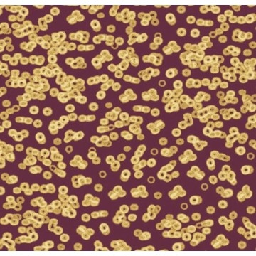 Forbo Flotex Sottsass Bacteria 990501