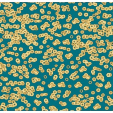 Forbo Flotex Sottsass Bacteria 990503