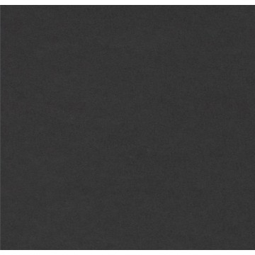 Furniture Linoleum 4023 Nero