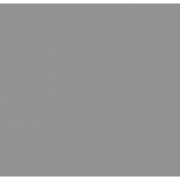 Furniture Linoleum 4132 Ash