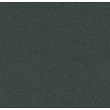 Furniture Linoleum 4174 Conifer