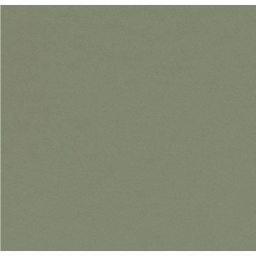 Furniture Linoleum 4184 Olive
