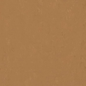 Marmoleum Modular Tiger's Eye
