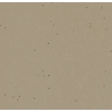 Sphera Energetic 50248 Nutmeg