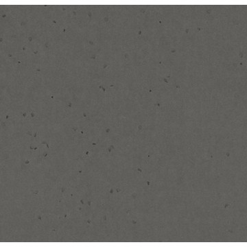 Sphera Energetic 50250 Ebony