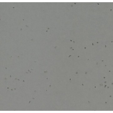Sphera Energetic 50251 Pigeon