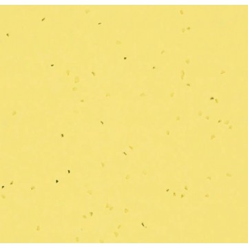 Sphera Energetic 50261 Banana