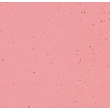 Sphera Energetic 50263 Candy