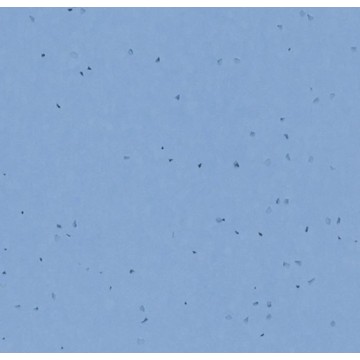 Sphera Energetic 50268 Blue Sky