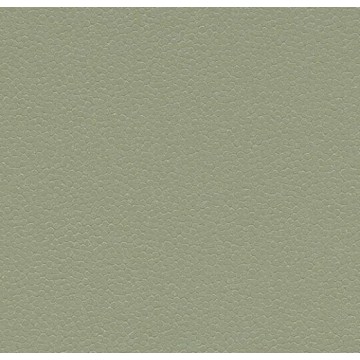 Forbo Safestep Aqua 180742 Sage