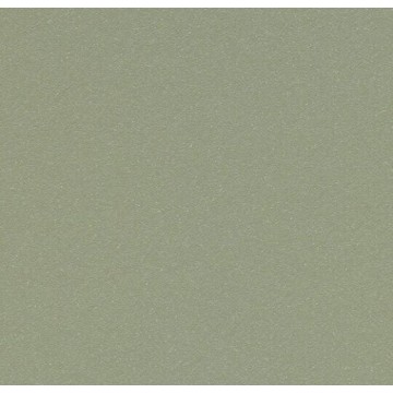 Forbo Surestep Laguna 181742 Sage