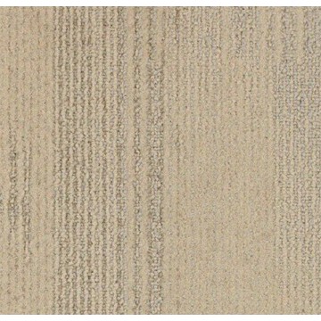 Tessera Contour 1903 White Spruce