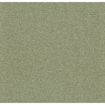 Tessera Chroma 3627 Fern