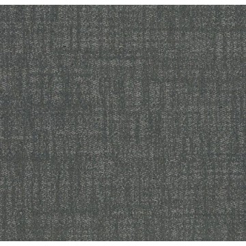 Tessera Perspective 3900 Sensory