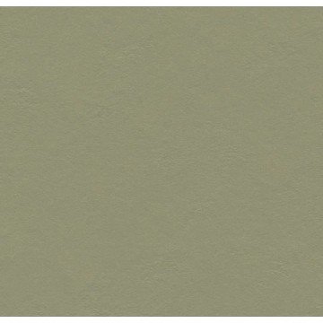 Marmoleum Click 333355 Rosemary Green