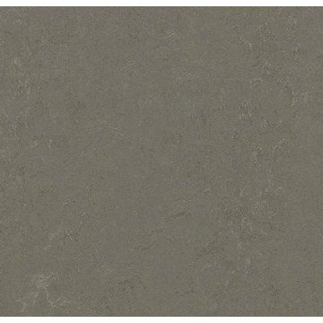 Marmoleum Click 333723 Nebula