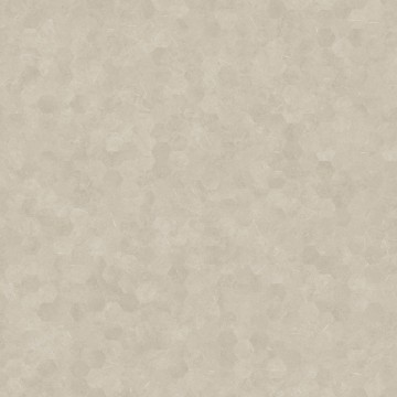 Vinilinės grindys Moduleo Moods Hexagon Mono 620